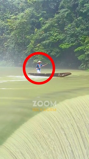 991K views · 10K reactions | O truque genial para enfrentar a correnteza | Zoom Selvagem | Facebook