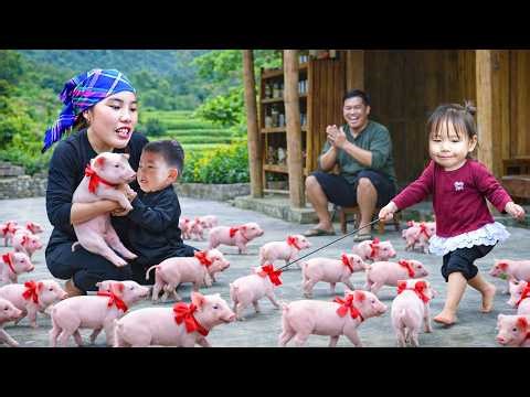 Harvesting passion fruit, catching giant fish to sell at the market, and taking care of piglets