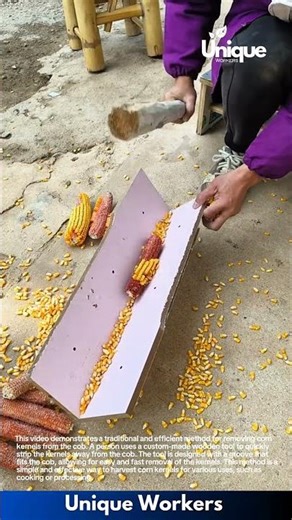 Efficient Corn Kernel Removal: Traditional Method with Wooden Tool