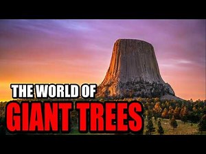 The GIANT TREE WORLD We Were Never Meant to See