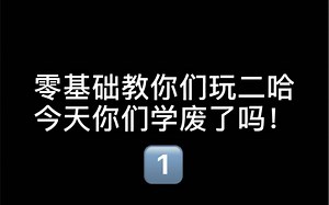 零基础教你们玩二哈，一定要学废哦！
