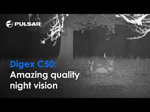 Exceptional quality night vision | Pulsar Digex C50 | By Phil Taylor