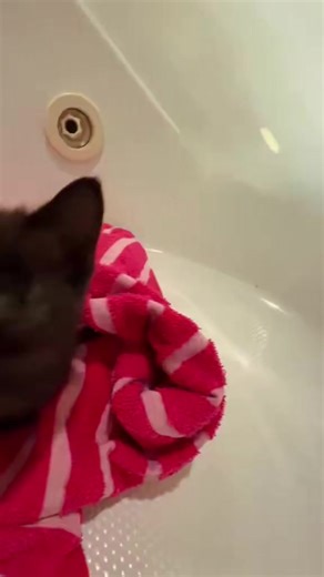 Heartwarming Recovery of a Little Girl