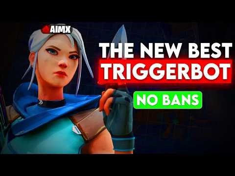 I Tried The BEST Valorant Triggerbot For The First Time... And This Happend?!