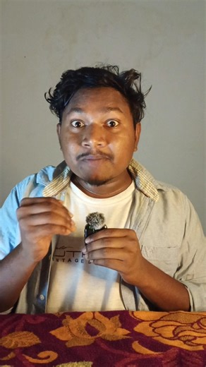 Limpets:The Strongest Material On Earth!🧠