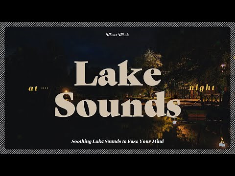 Soothing Lake Sounds at Night for Relaxation and Sleep - 8 Hours | Frogs, Crickets, Owls | 수면, ASMR