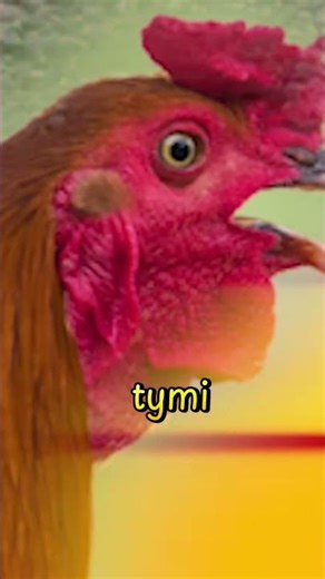 #shorts #youtubeshorts #usa #venezuela #trump #maduro #war #trending #fyp #śmieszne#strangerthings