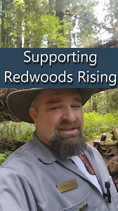42K views · 3.1K reactions | What is Redwoods Rising? Redwoods Rising...