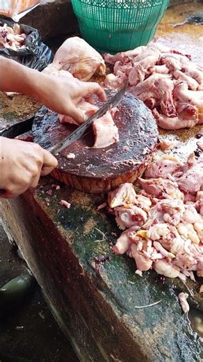 Chicken Chopping for Beginners: A Step-by-Step Guide