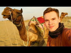 INDIAN THAR DESERT CAMEL SAFARI, RAJASTHAN 🇮🇳