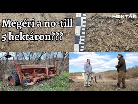 No-till tapasztalatok egy 5 ha-os kisgazdaságban - Miért váltott technológiát a szakács-kistermelő?