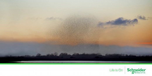 988K views · 362 shares | How a “brain of brains” turns collaborative...