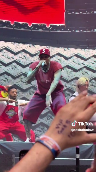 the GOAT 🐐🖤 #breezy #chrisbrown #fyp