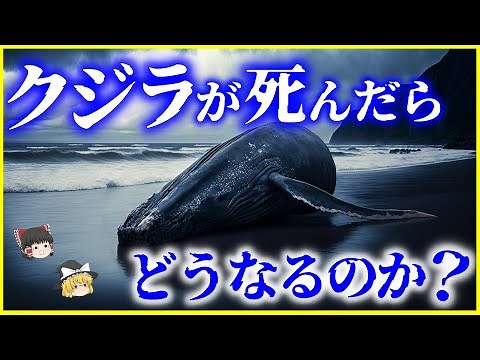 【ゆっくり解説】大爆発する…⁉「クジラ」が死んだらどうなるのか？を解説/日本での爆発事例はあるのか？