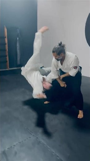 Aikido Martial Fusion Classes Sarasota