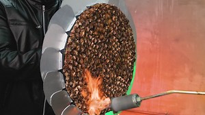 69K views · 142 reactions | Pineapple Power: The Unexpected Fire Shield | 5-Minute Crafts Family | Facebook