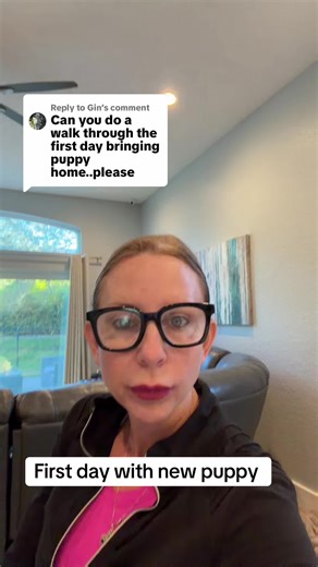 Replying to @Gin #fyp #dogtraining #dogtrainingtips #newpuppy | New Puppy