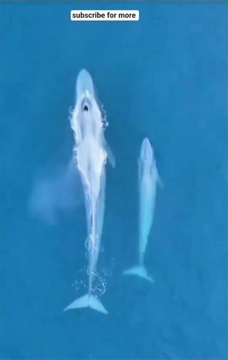 jessica soho.kmjs latest episode 2025.jessica soho latest episode 2025.jessica soho latest episode.