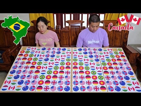 Family Game | Flag Sorting Challenge, Which Country's Flag Is Yours ☆ Level 13