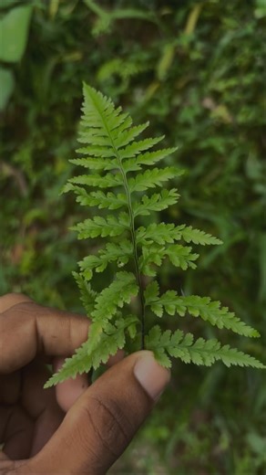 ʀᴇʙɪnɴN ʙᴇɴɴʏ🍭 on Instagram: "പണ്ട് ഇങ്ങനെ ചെയ്തവർ ഉണ്ടോ? : : : : : : #relatable #relatables #relatablereels #relatablememes #relatablevideos #short #shootoniphone #capcut #fyp #new #malayalam #songs #mallu #reelsinstagram #reels #trend #love #fun #mohanlal #reelsinstagram #oldisgold✨ #memes #explore #iphone #edits #nostalgia #nostàlgia #relatablequote"