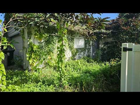 He Lost His Wife… Then the Yard Took Over