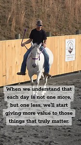 Our days are counting down... not up! #luckyahorsemanship #coltstarter #real #truth #live | Lucky A Horsemanship