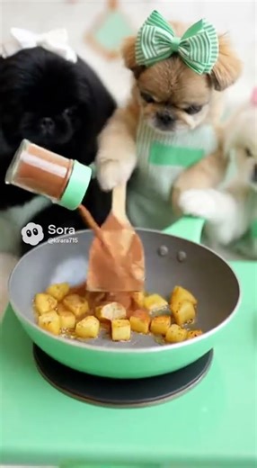 アップルパイ作り🧇🐶#ペキニーズ#pekingese #鼻ぺちゃ犬 #ペキニーズフォーン#黒ペキ#白ペキ#ペキニーズ可愛い#ペキニーズ大好き#北京犬#pets #cute #sora2