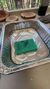 4.4K views · 26 reactions | DIY Tree Ring Printing! Watch and learn how to make your very own tree ring print with Park Naturalist Lauren! | Oak Mountain State Park | Facebook