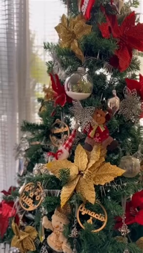 3.4K views |  Tu casa, más inteligente. ✅ Control remoto desde el celular ✅ Compatible con Alexa y Google ✅ Programación automática ⚡ Controlá tus dispositivos desde donde estés. #navidad #navidad2025 #navidad #NavidadInteligente #navidadinteligente #WIFI #wifi | Smart Life | Facebook