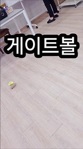 주간보호 어르신 신체활동 프로그램. 울산 하나로재활실버케어. 게이트볼