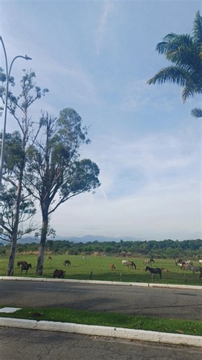 Marina Santos Silva on Instagram: "Quando entrei, eu sabia que seria temporário. Mas nunca imaginei o quanto esse tempo me transformaria. A Força Aérea Brasileira me transformou como profissional. E fortaleceu quem eu sou. Estou me despedindo do serviço ativo. E se me perguntarem: mas vale a pena servir na FAB? Direi sem exitar: Sim. Vale. E muito! É uma experiência que forma caráter, disciplina e visão profissional. 🎬 @deboraalmeidafotografia #disciplina #dedicação #hs11 #amazonas #qocon2018"