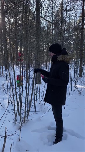 Kes ütles, et nuudlid puu otsas ei kasva? Kuu lõpu kokaraamatu leiad kiirnuudlid.ee #eestivideod #eestivabariik #eesti #estonia #eestifyp