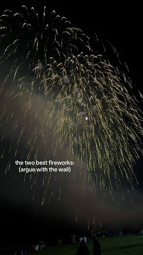 the rainy fireworks are magical and the cracking fireworks are just so satisfying #fireworks #beauty #beautyoftheworld #fourthofjuly #real #satisfying #pretty #relatable #sky #xyzcba #xyz #viral