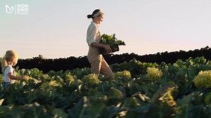 The Non-GMO Project is a group of passionate changemakers leading the charge to change our broken food system. Watch to learn how your gift makes an impact. | Non-GMO Project