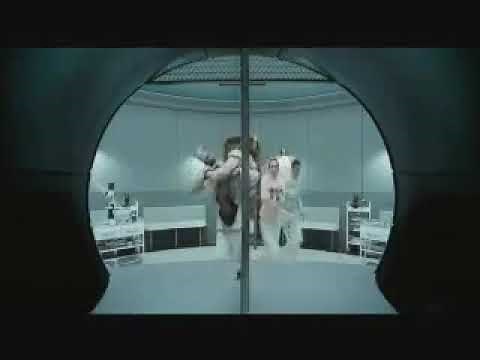 Der Goldene Kompass - auf Deutsch!