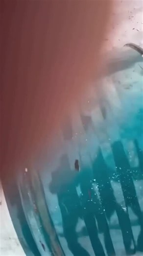 Stuff Exploding | 💥💥 | Instagram