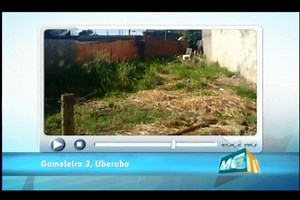 Moradores de Uberaba reclamam de acúmulo de lixo e terrenos vagos