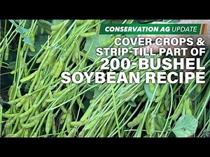 Cover Crops & Strip-Till Part of 200-Bushel Soybean Recipe