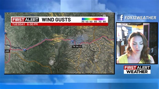 We now have 12 large fires burning across Oregon and Washington, with 7 in the state of Oregon. The Cram fire in central Oregon is now the largest burning in the nation, scorching more than 95,000 acres. It is about 75 percent contained. Meanwhile on the Washington side of the Gorge, the Burdoin fire has grown to more than 10,000 acres and is 0 percent contained. Westerly wind gusts will continue to push the fire (and smoke) to the east. | FOX 12 Weather