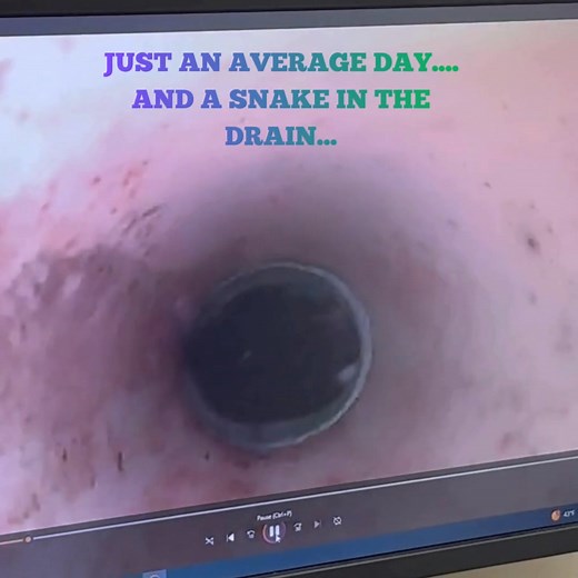 🐍🚰 SNAKE IN THE SEWER? HERE’S WHAT YOU SHOULD KNOW: Finding a snake in or near your drain can be alarming, but it’s more common than most people realize. Here are a few quick facts: ✅ **It’s rare, but possible.** Snakes may enter through cracked pipes, open drains, or outdoor vents while searching for food or warmth. ✅ **They don’t actually live in sewer systems.** Most are simply passing through — often following rodents or frogs. ✅ **Toilet incidents are extremely uncommon.** These usually o