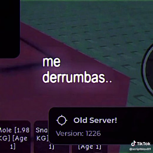 SCRIPTBLOX on TikTok