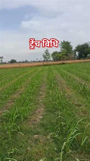#nature #shortvideo #farming #kisaan #automobile #khetibadi #farmer #agriculture #song