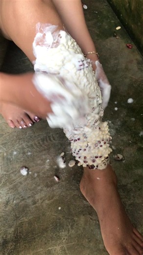 Effective Ticks Removal Techniques for Pet Owners