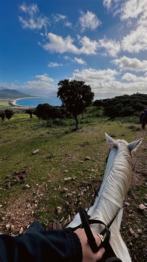 La Corse comme vous ne l’avez jamais vue… à cheval ! 🌿 Des sentiers du maquis jusqu’aux plages sauvages, une balade à cheval, c’est l’occasion de se reconnecter à la nature et de profiter de paysages incroyables. 🐴 @marinedsp | Visitcorsica
