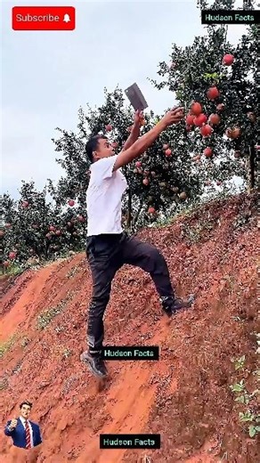 The EASIEST Way to Open a Pomegranate in Seconds! 🤯 #shorts #facts #usa