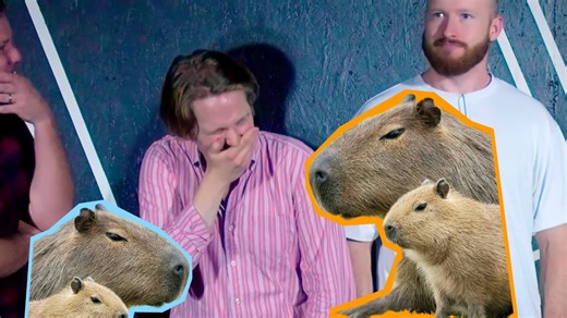 即兴喜剧｜Letters｜卡皮巴拉？卡帕？巴啦啦？所以水豚到底叫啥【Shoot From The Hip】