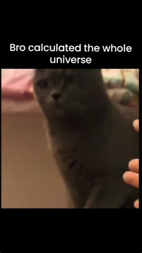 GLOBAL Explained on Instagram: ""When your cat is actually a math genius in disguise. 🧠🐱" . .#SmartCat#CatCalculations#FunnyPets#CatLogic#TreatTime . .Watch this "big brain" moment as this clever cat uses pure logic and some intense calculations to figure out which hand is hiding the treat. From the focused stare to the final decision, it's clear this kitty isn't just guessing—he's calculating the entire universe to get that snack! . . . ( This Content is for educational purposes only ) Kindly
