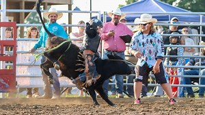 Hardin Co. family working to offer mini bull riding to Kentucky kids