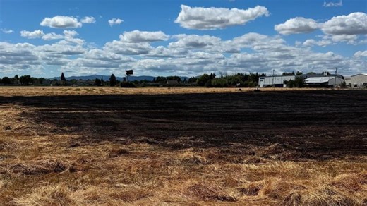 Albany officials say teen arsonist started wildfire that threatened multiple homes