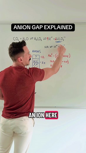 Understanding the Anion Gap in Clinical Practice